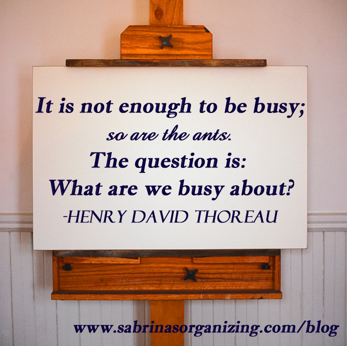 It is not enough to be busy; so are the ants. The question is: What are we busy about? ~ Henry David Thoreau