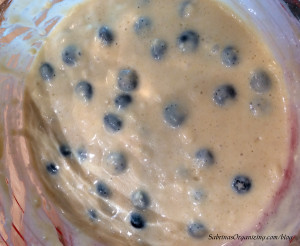 2nd-mix-the-rest-of-the-wet-ingredients-and-then-slowly-add-the-flour-mixture-and-then-blueberries