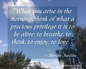When you arise in the morning, think of what a precious privilege it is to be alive; to breathe, to think, to enjoy, to love. – Marcus Aurelius