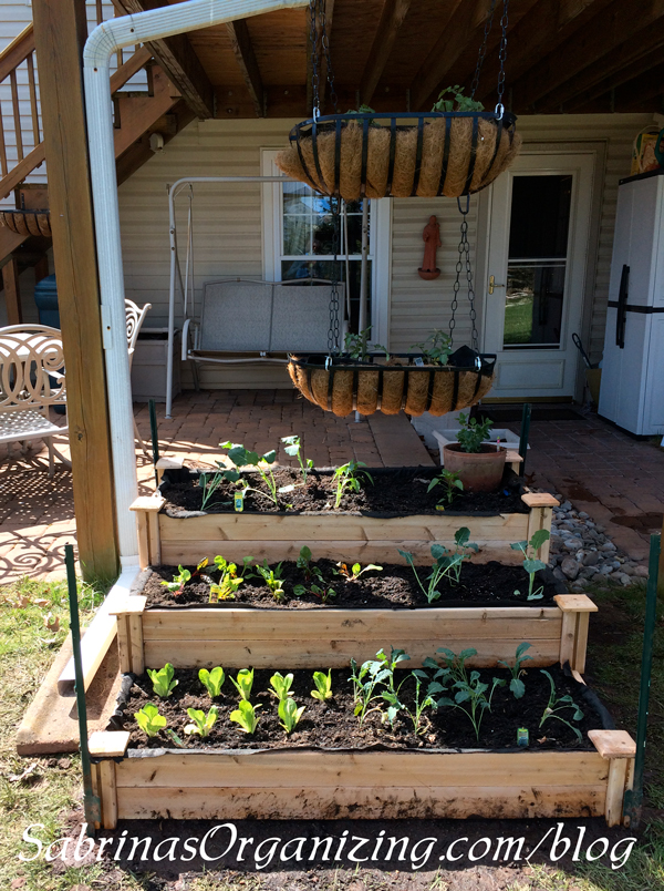 Organized raised bed garden