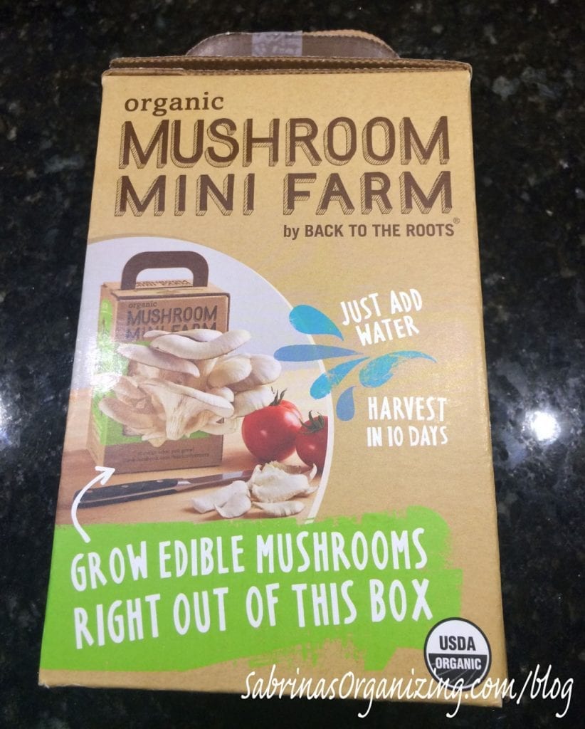 mushroom mini farm