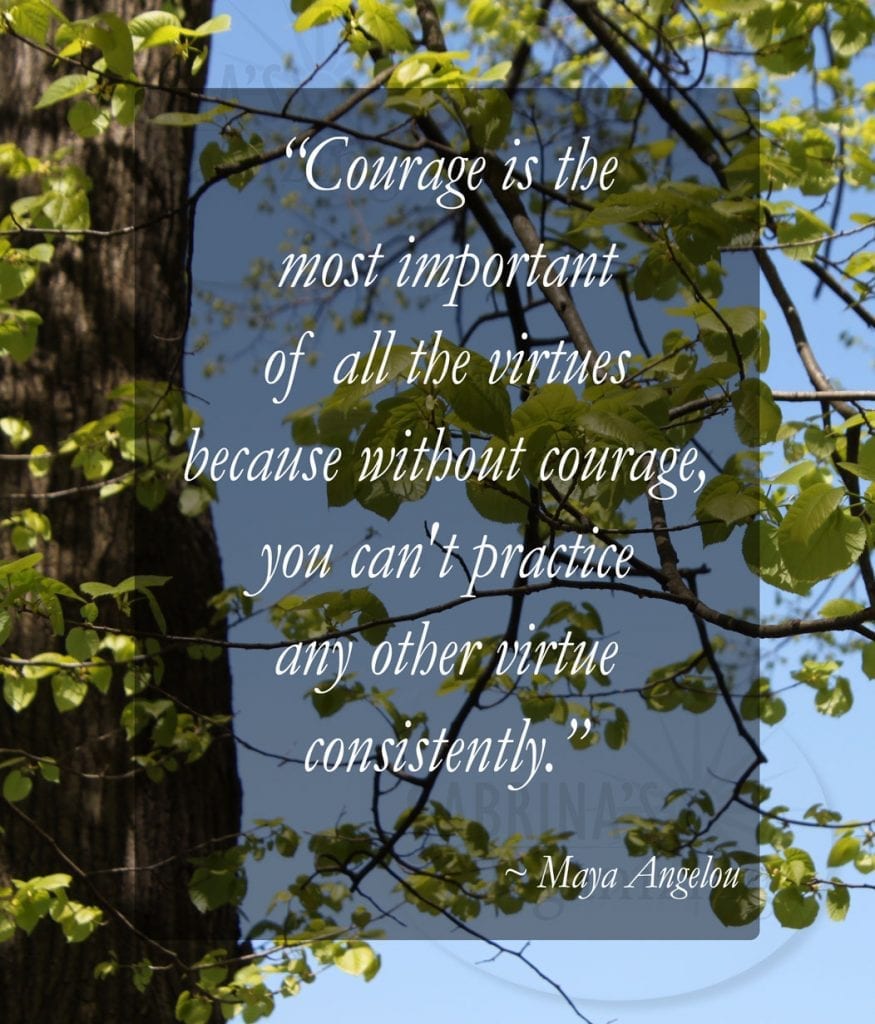“Courage is the most important of all the virtues because without courage, you can't practice any other virtue consistently.” ~ Maya Angelou