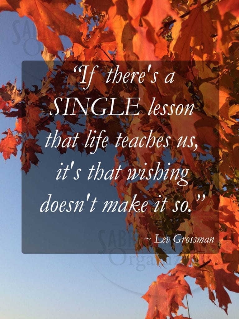 “If there's a single lesson that life teaches us, it's that wishing doesn't make it so.” ~ Lev Grossman