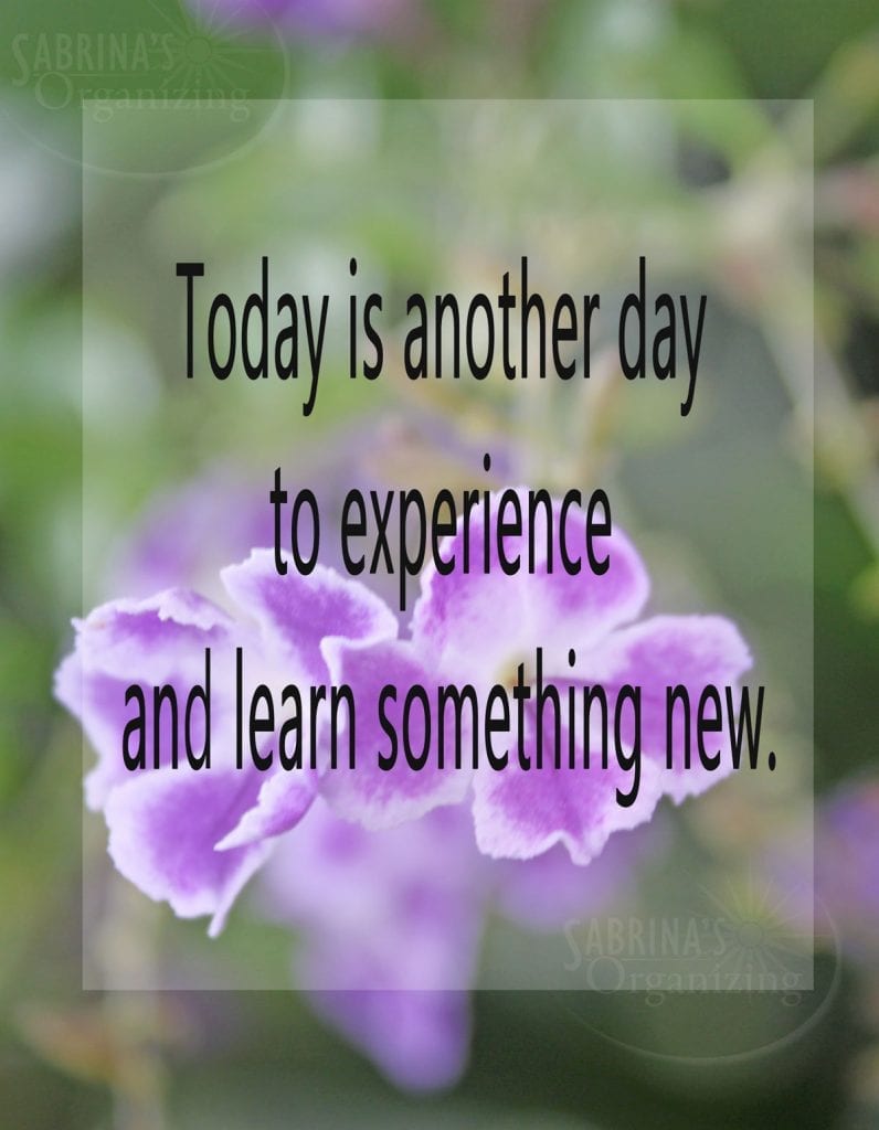 Today is another day to experience and learn something new.