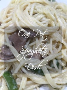 one pot spaghetti dish