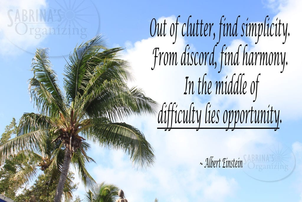 Out of clutter, find simplicity. From discord, find harmony. In the middle of difficulty lies opportunity. - Albert Einstein