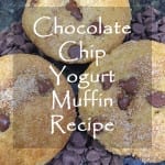 choloate chip yogurt muffin recipe