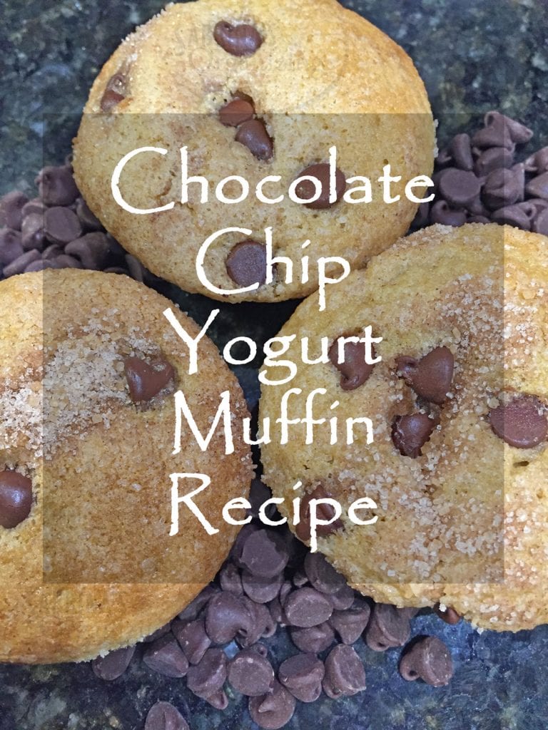 choloate chip yogurt muffin recipe