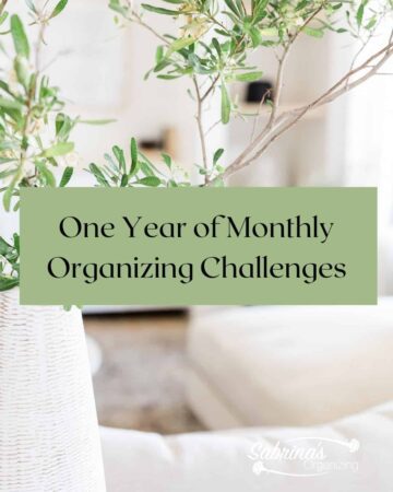 One Year of Monthly Organizing Challenges - featured image