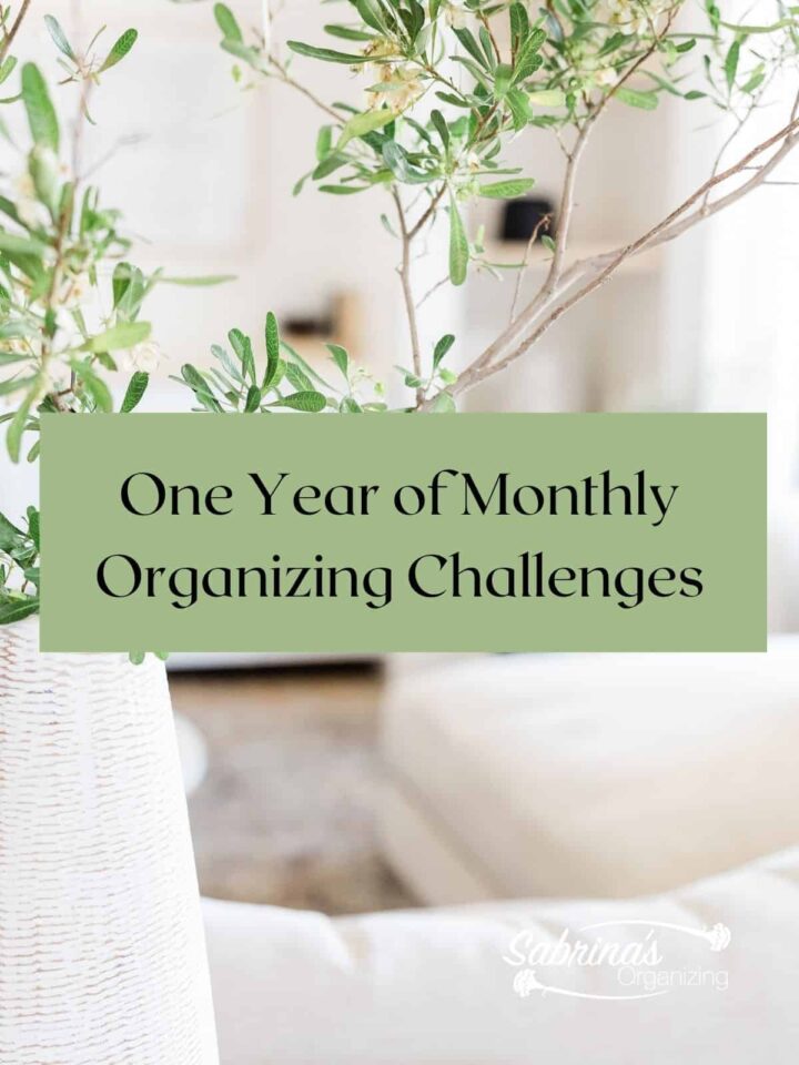 One Year of Monthly Organizing Challenges - featured image