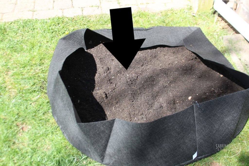 add garden soil to bag