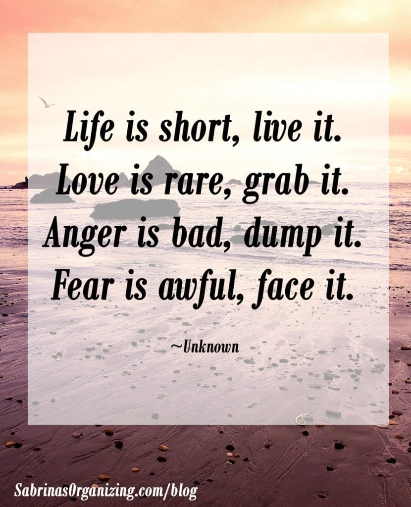 Life is short, live it. Love is rare, grab it.