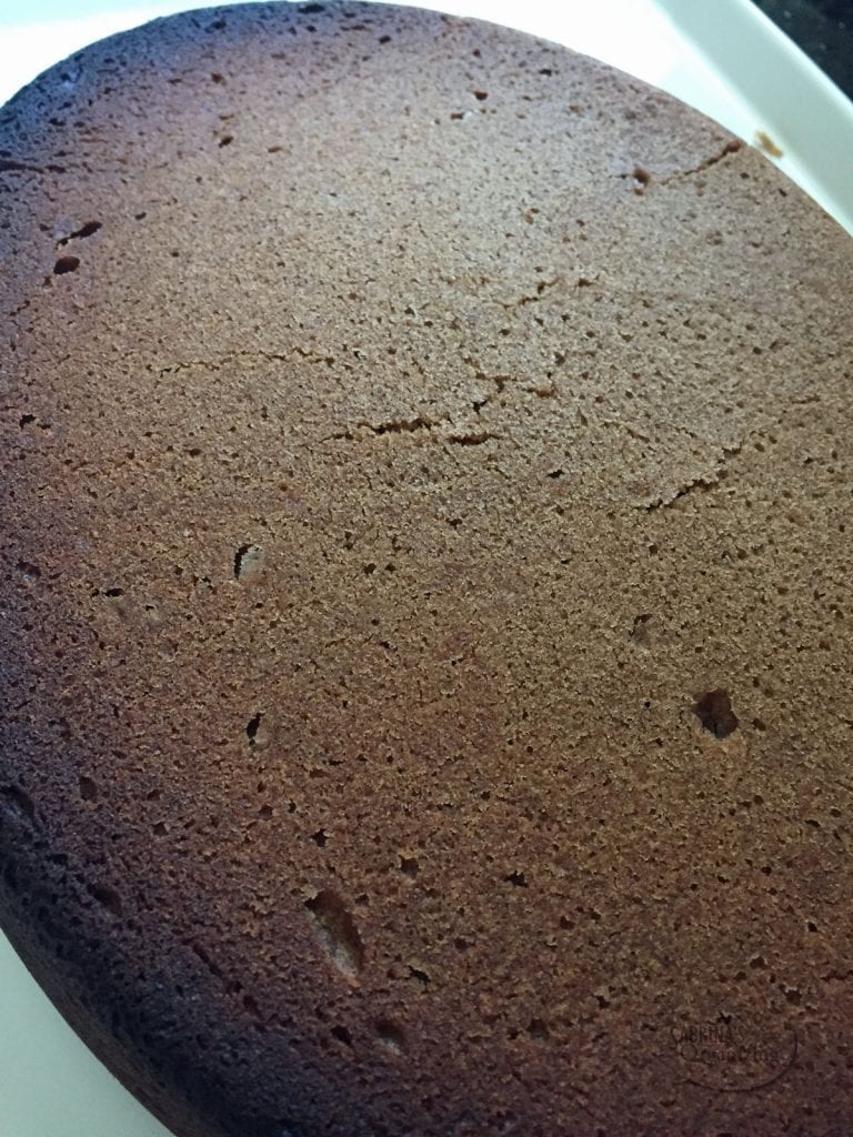 Slow Cooker Gluten Free Cinnamon Chocolate Cake