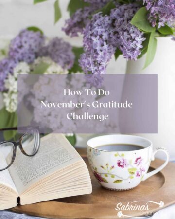 How to Do November's Gratitude Challenge - featured image