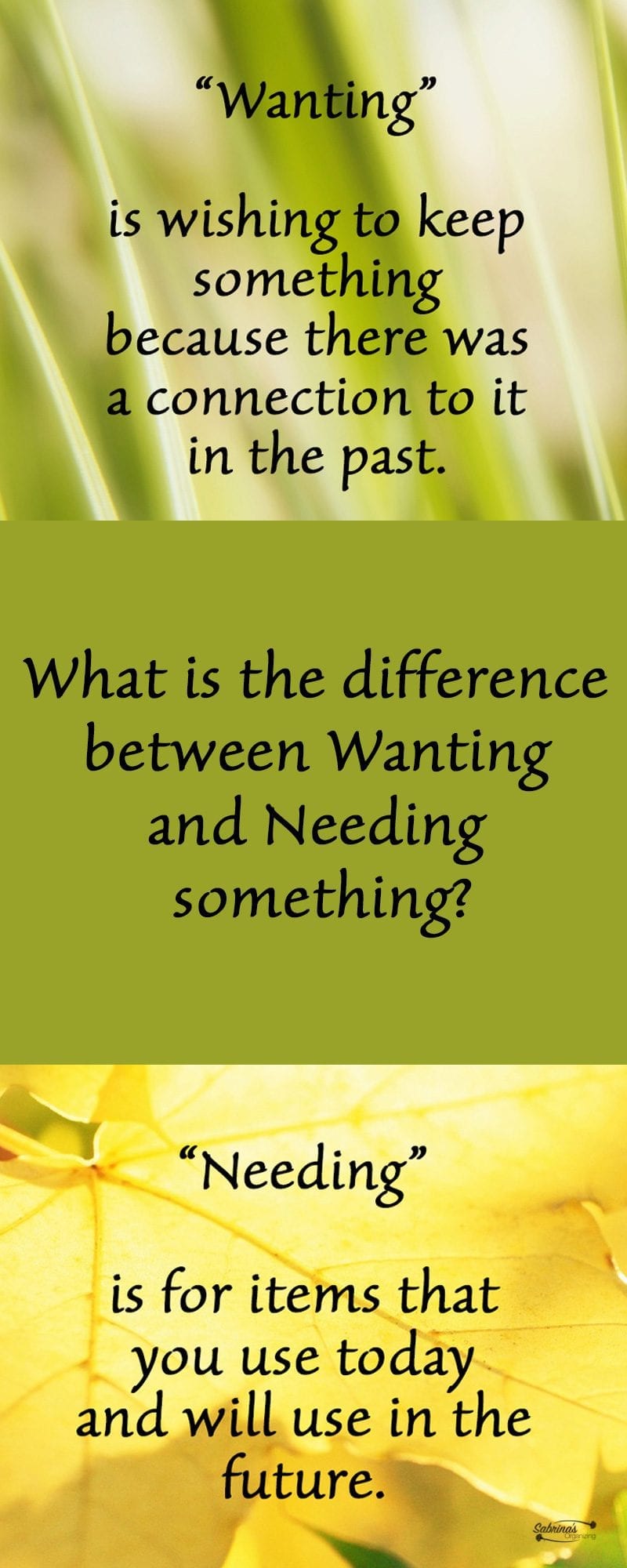 What is the difference between wanting and needing something - Sabrina Quairoli