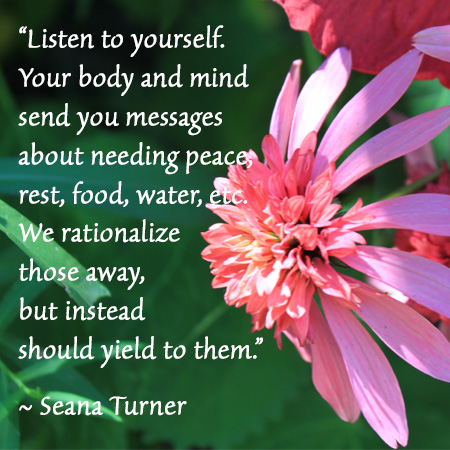 Listen to yourself. Your body and mind send you messages about needing peace, rest, food, water, etc. We rationalize those away but instead should yield to them. ~ Seana Turner