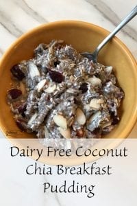 Dairy Free Coconut Chia Breakfast Pudding