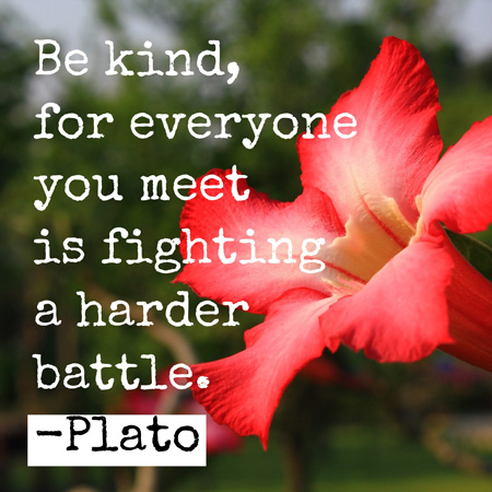 Be kind, for everyone you meet is fighting a harder battle. ~ Plato