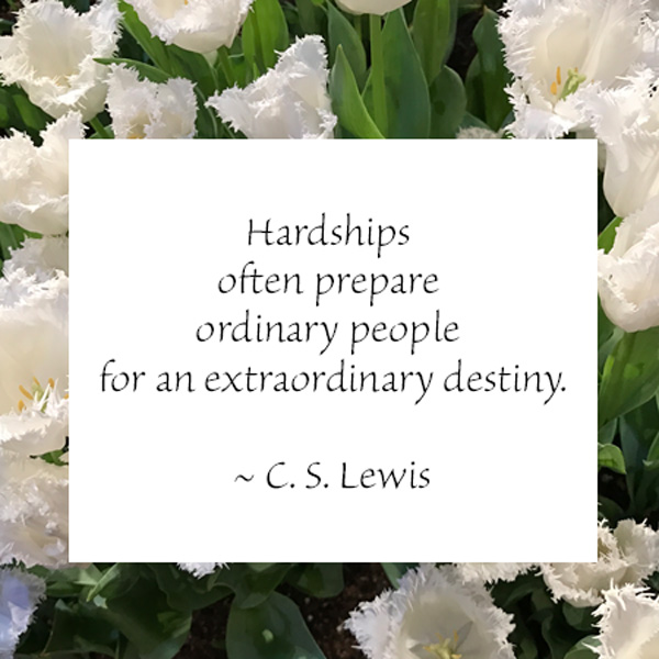 Hardships quote