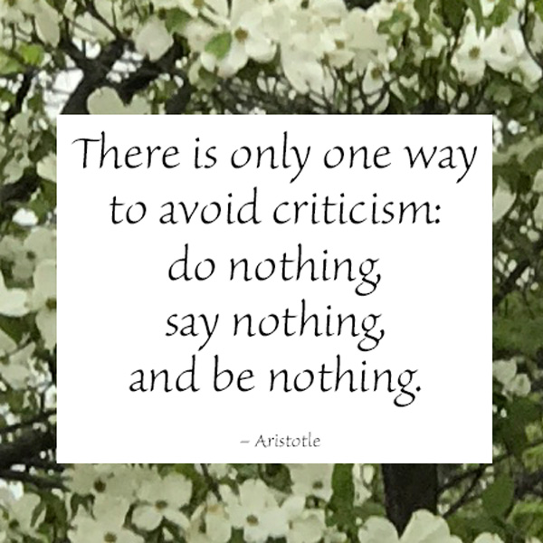 criticism quote