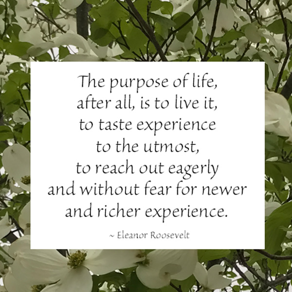 the purpose of life quote