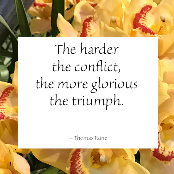 triumph quote