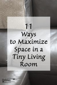 11 Ways to Maximize Space in a Tiny Living Room