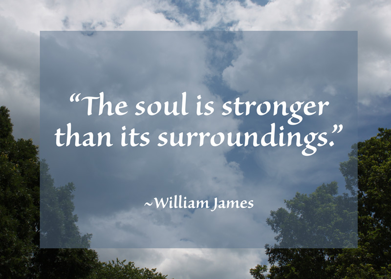 “The soul is stronger than its surroundings.” ~William James
