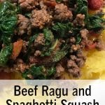 Beef Ragu and Spaghetti Squash recipe