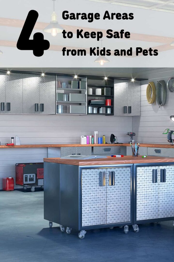 a picture of an organized garage and the title is at the top center - pinterest image