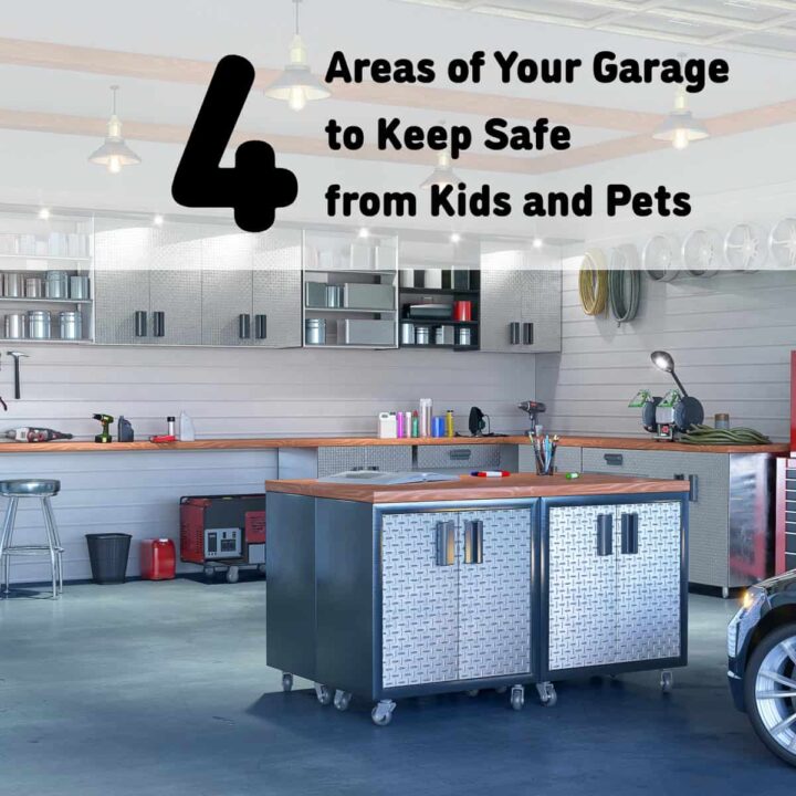 a picture of an organized garage and the title is at the top center - square image