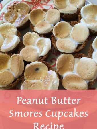 Peanut Butter Smores Cupcakes Recipe