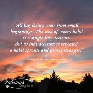 All big things come from small beginnings. The seed of every habit is a single tiny decision. But as that decision is repeated, a habit sprouts and grows stronger. - James Clear from Atomic Habits All big things come from small beginnings. The seed of every habit is a single tiny decision. But as that decision is repeated, a habit sprouts and grows stronger. - James Clear from Atomic Habits