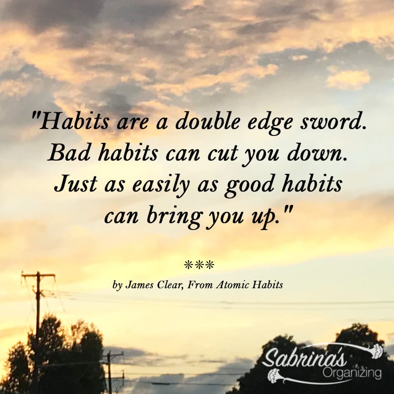 Habits are a double edge sword. Bad habits can cut you down. Just as easily as good habits can bring you up. - James Clear, From Atomic Habits