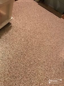 carpet remnant in the closet
