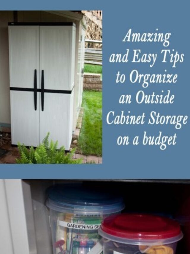 How to Organize an effective Outdoor Cabinet Cheaply