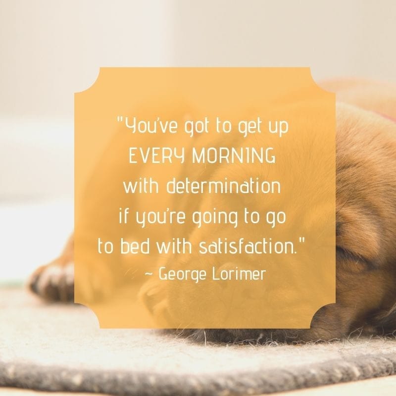 "You’ve got to get up every morning with determination if you’re going to go to bed with satisfaction." – George Lorimer
