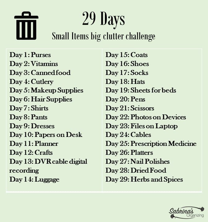 29 Days Small Items Big Clutter Challenge