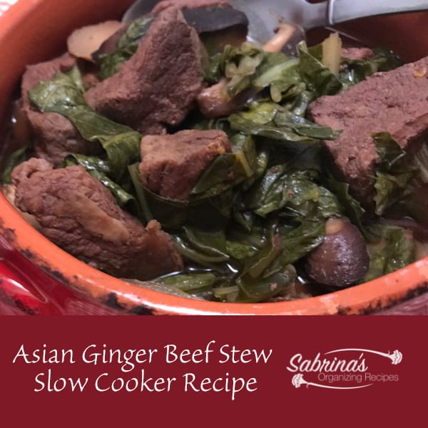 Asian Ginger Beef Stew Slow Cooker Recipe