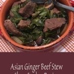 Asian Ginger Beef Stew Slow Cooker Recipe