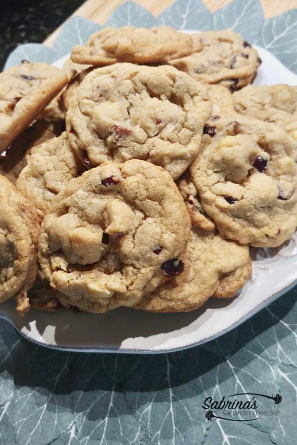 Gluten Free and Dairy Free Macadamia Nut and Cranberry Cookie recipe