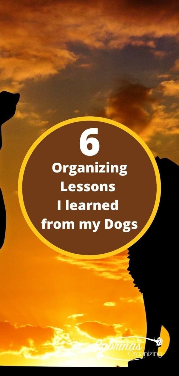 6 Organizing Lessons I Learned from my Dogs Pinterest image