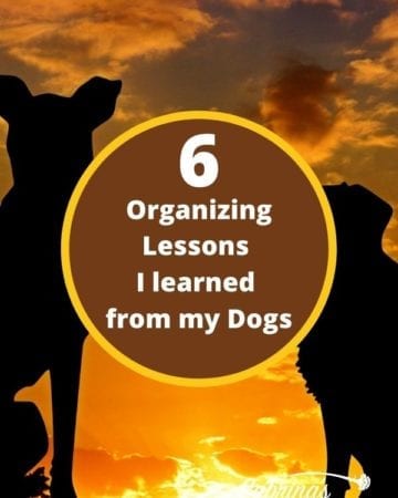 6 Organizing Lessons I Learned from my Dogs title image
