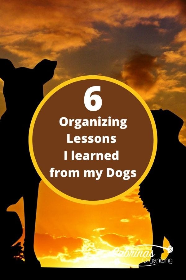 6 Organizing Lessons I Learned from my Dogs title image