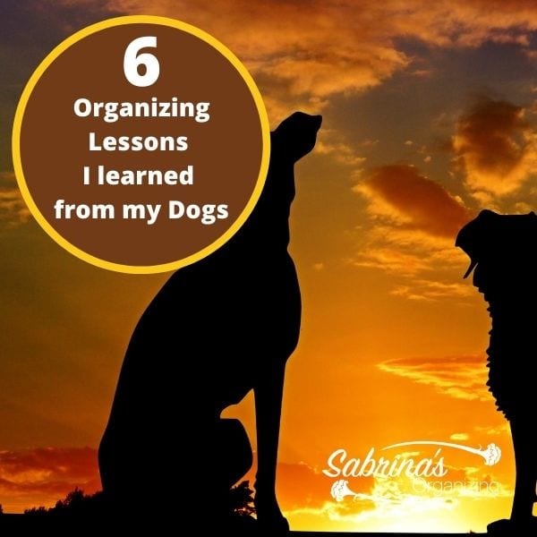 6 Organizing Lessons I Learned from my Dogs square image