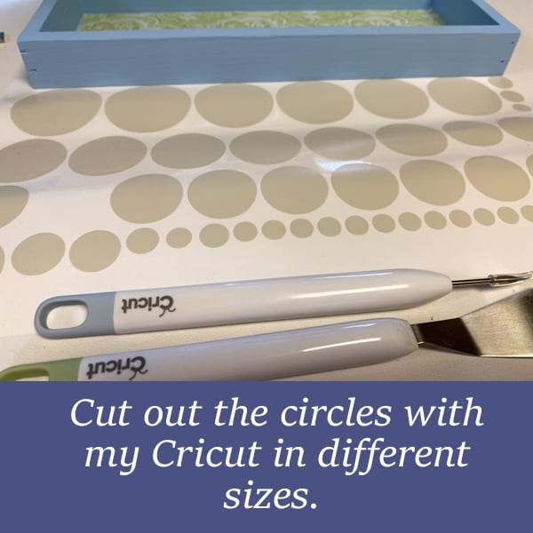 Cut out the circles with my Cricut in different sizes. 