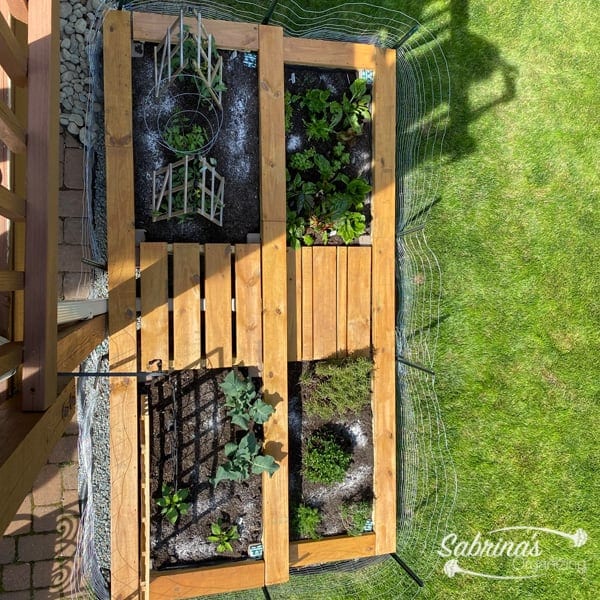Stained Raised Bed Garden Top View