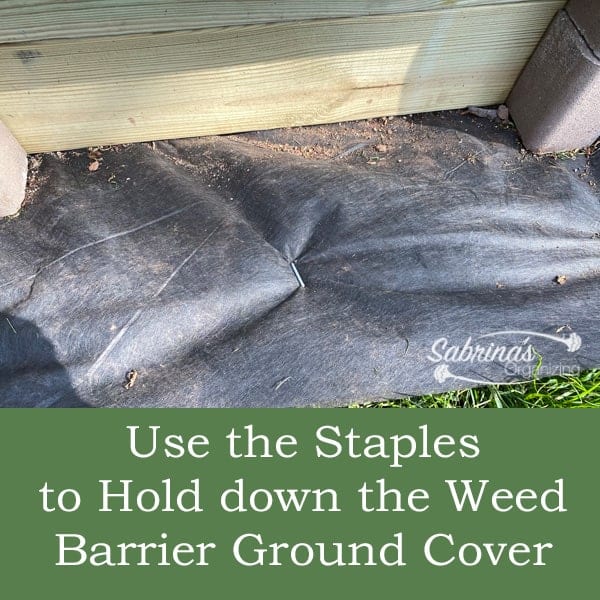 Use the staples to hold down the weed two tier ground cover