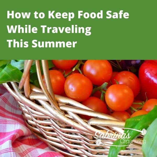 How to Keep Food Safe While Traveling This Summer - square image