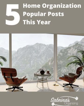 Home Organization Popular Posts This Year feature image